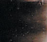 174 Raw Umber